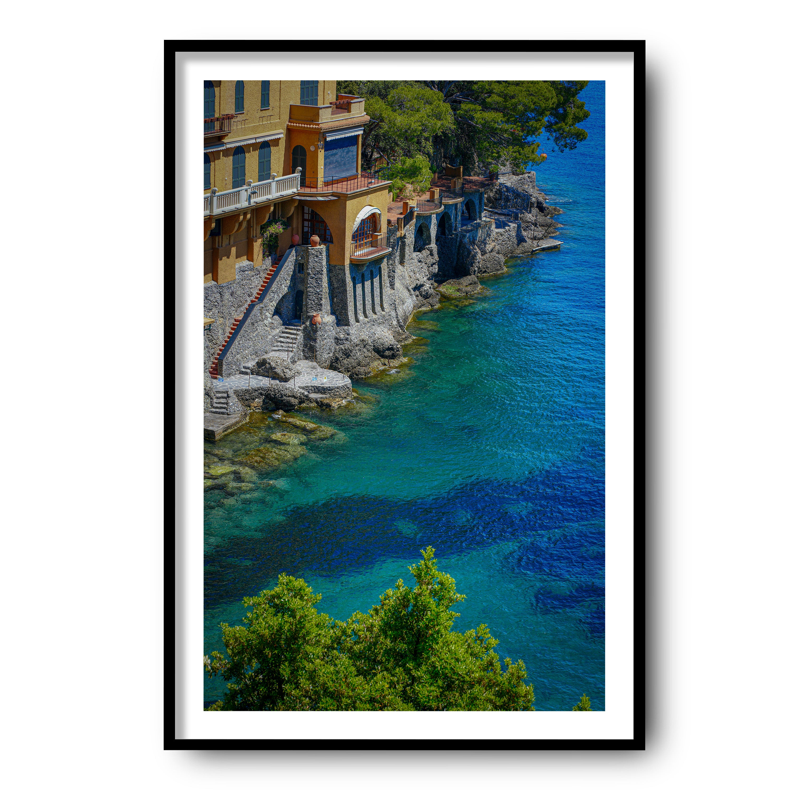 Morning Dive, Portofino