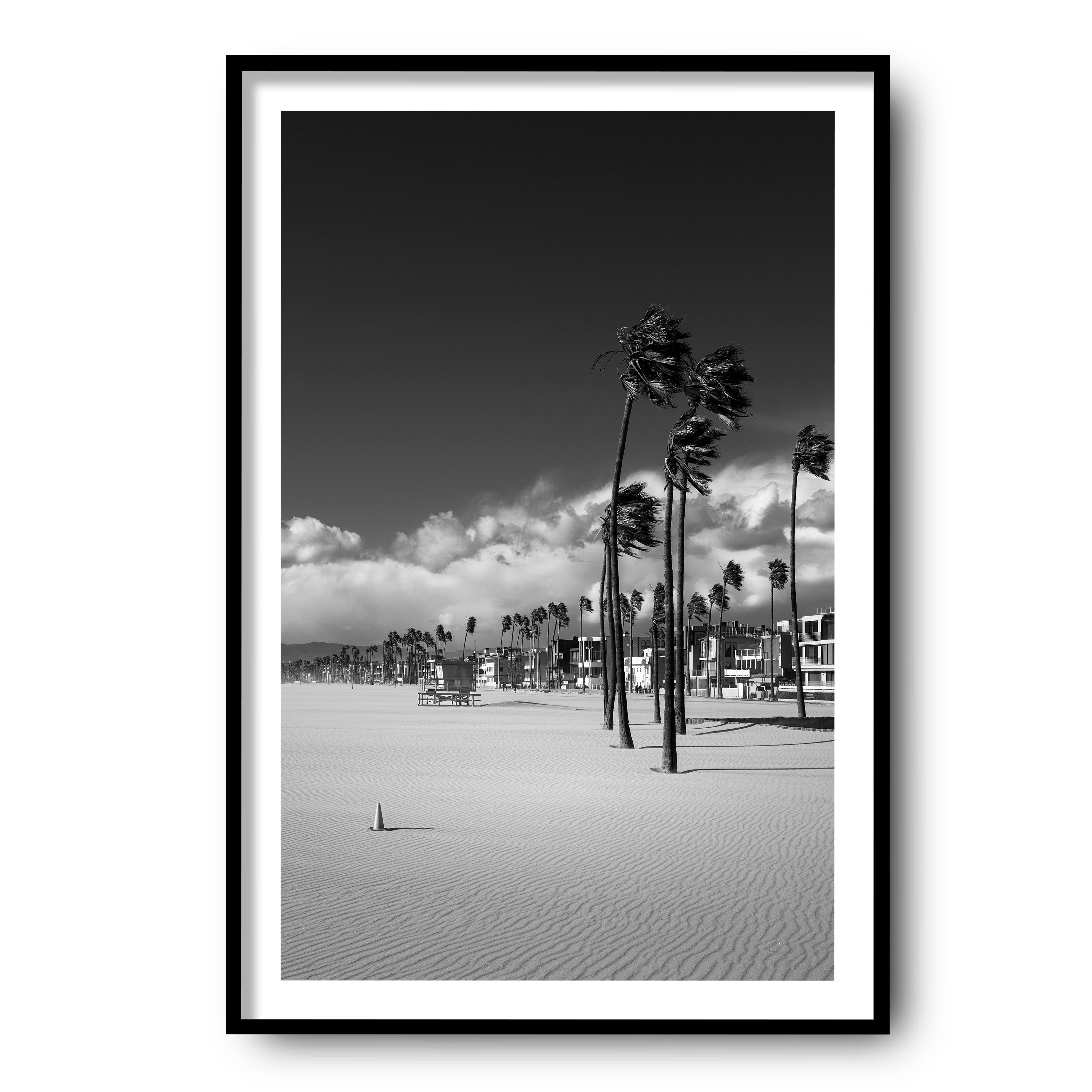 Windcarved, Venice Beach