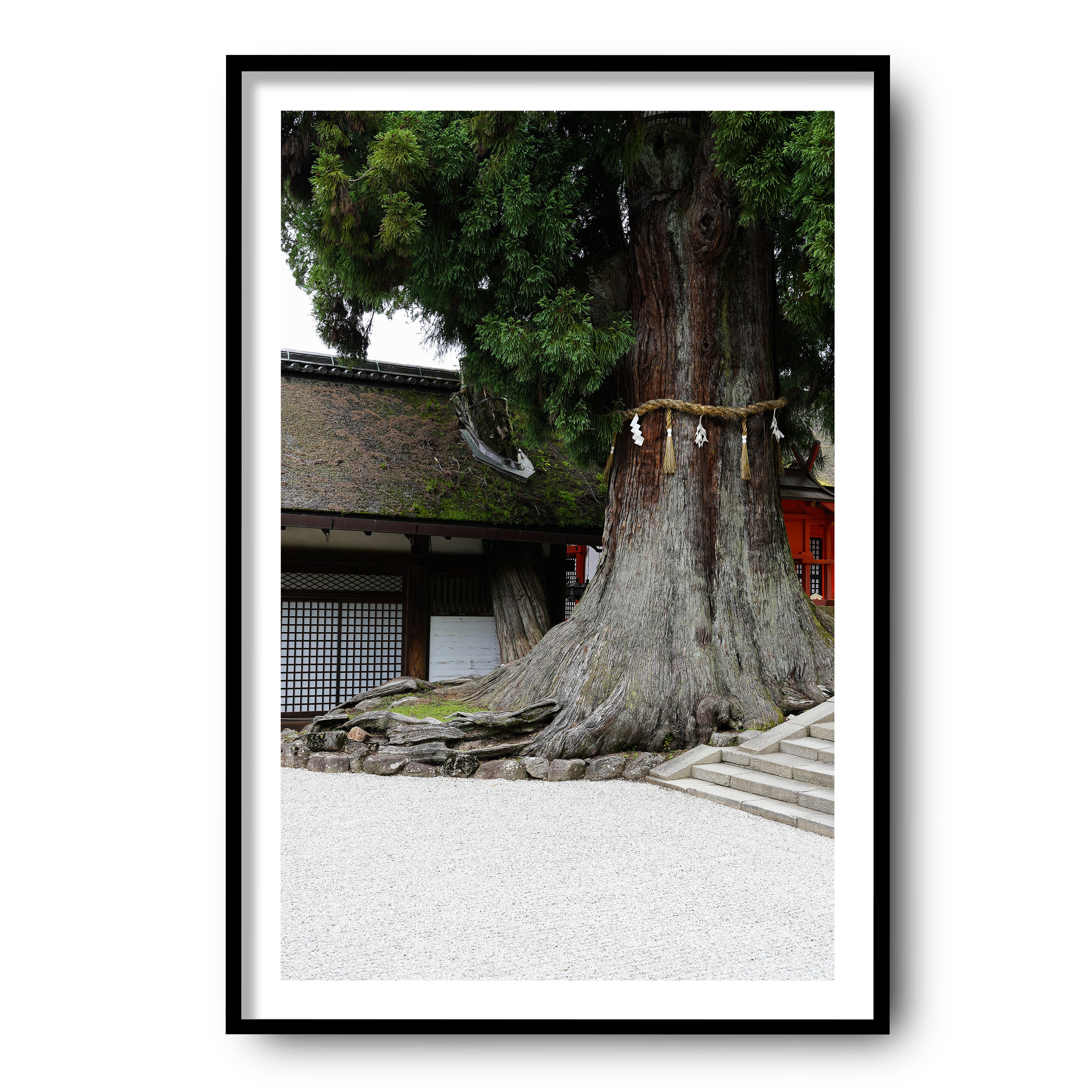 The Tree, Nara