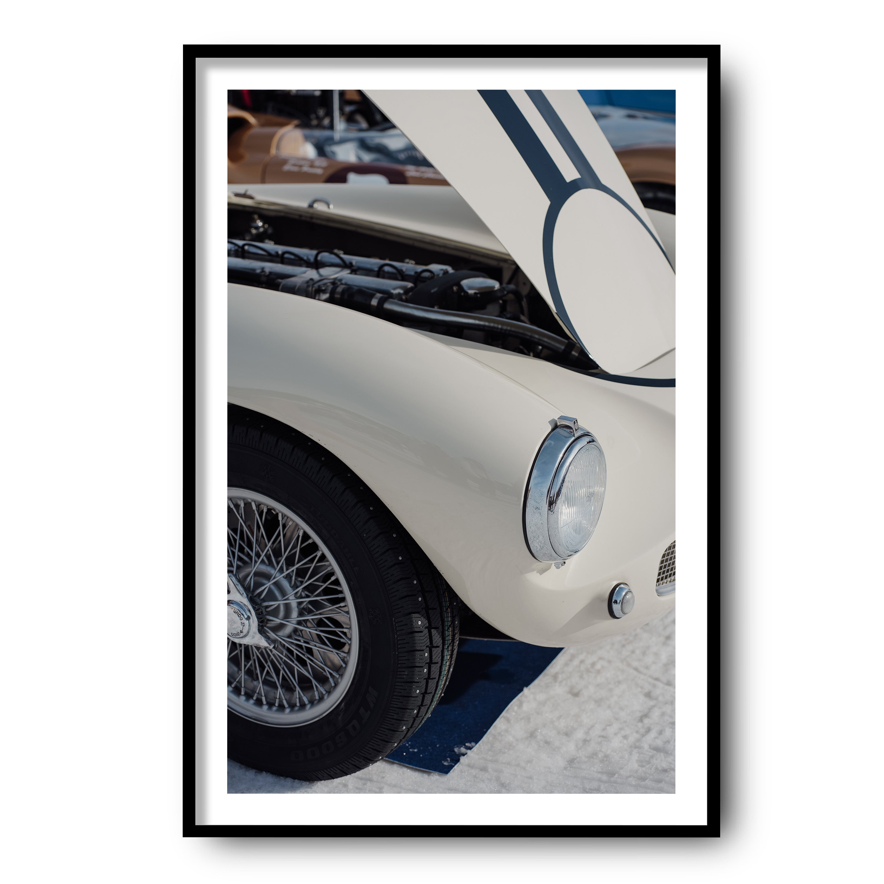 Ivory Lines on Ice, St Moritz