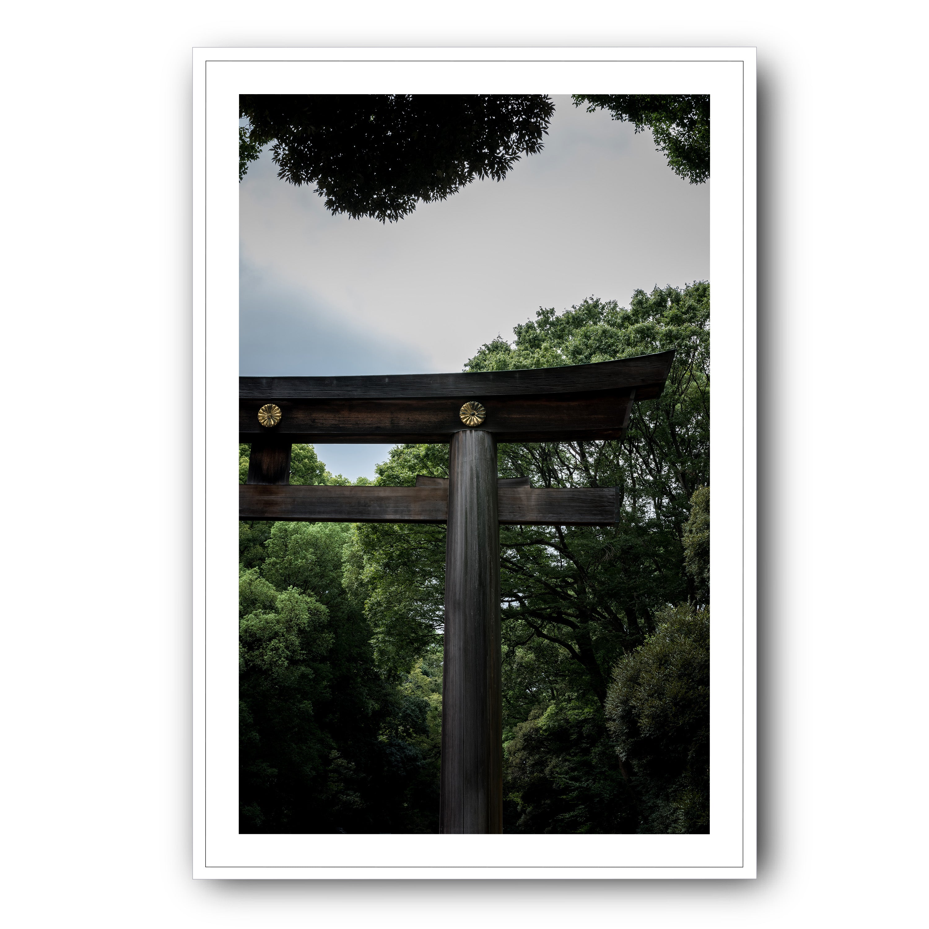 The Door, Tokyo