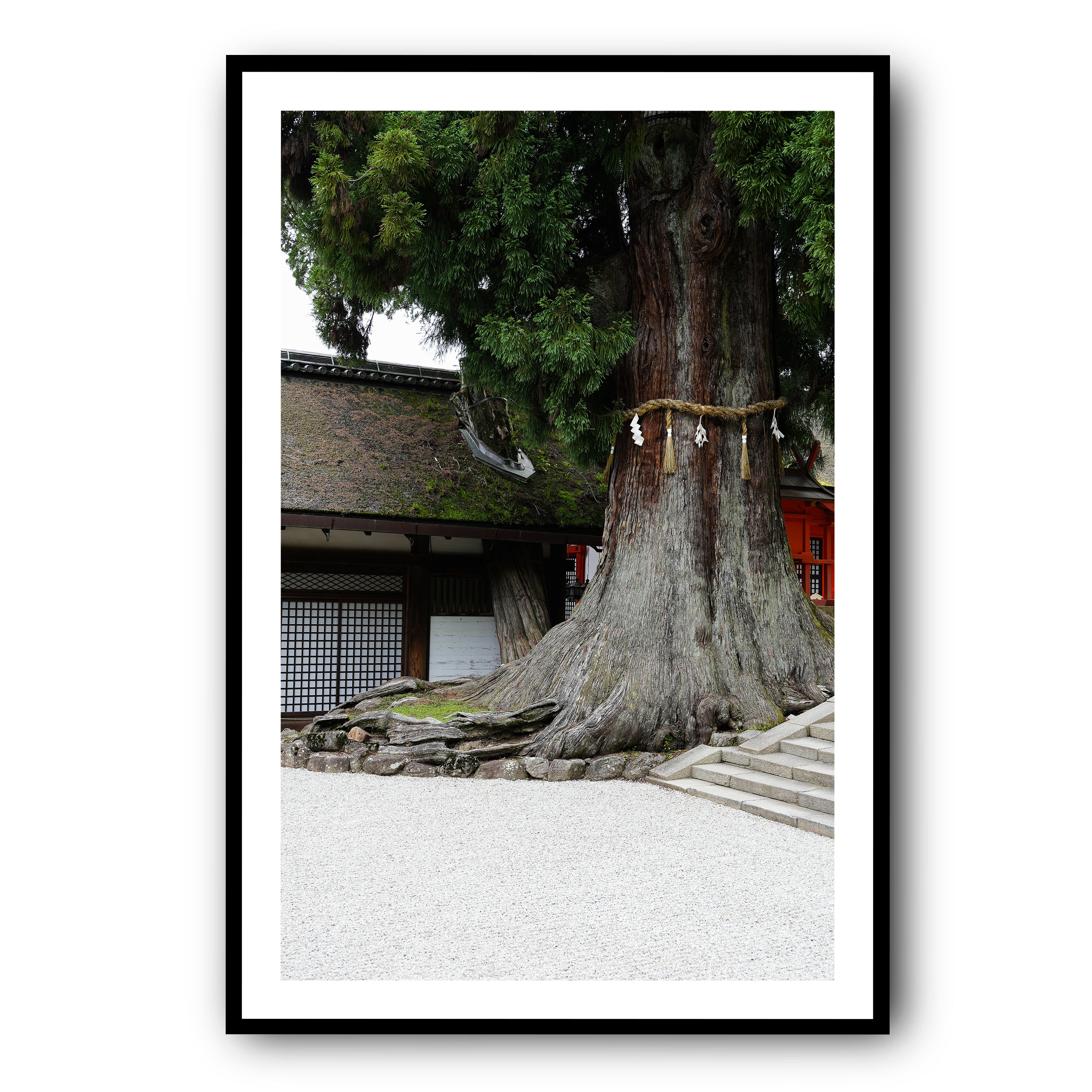 The Tree, Nara