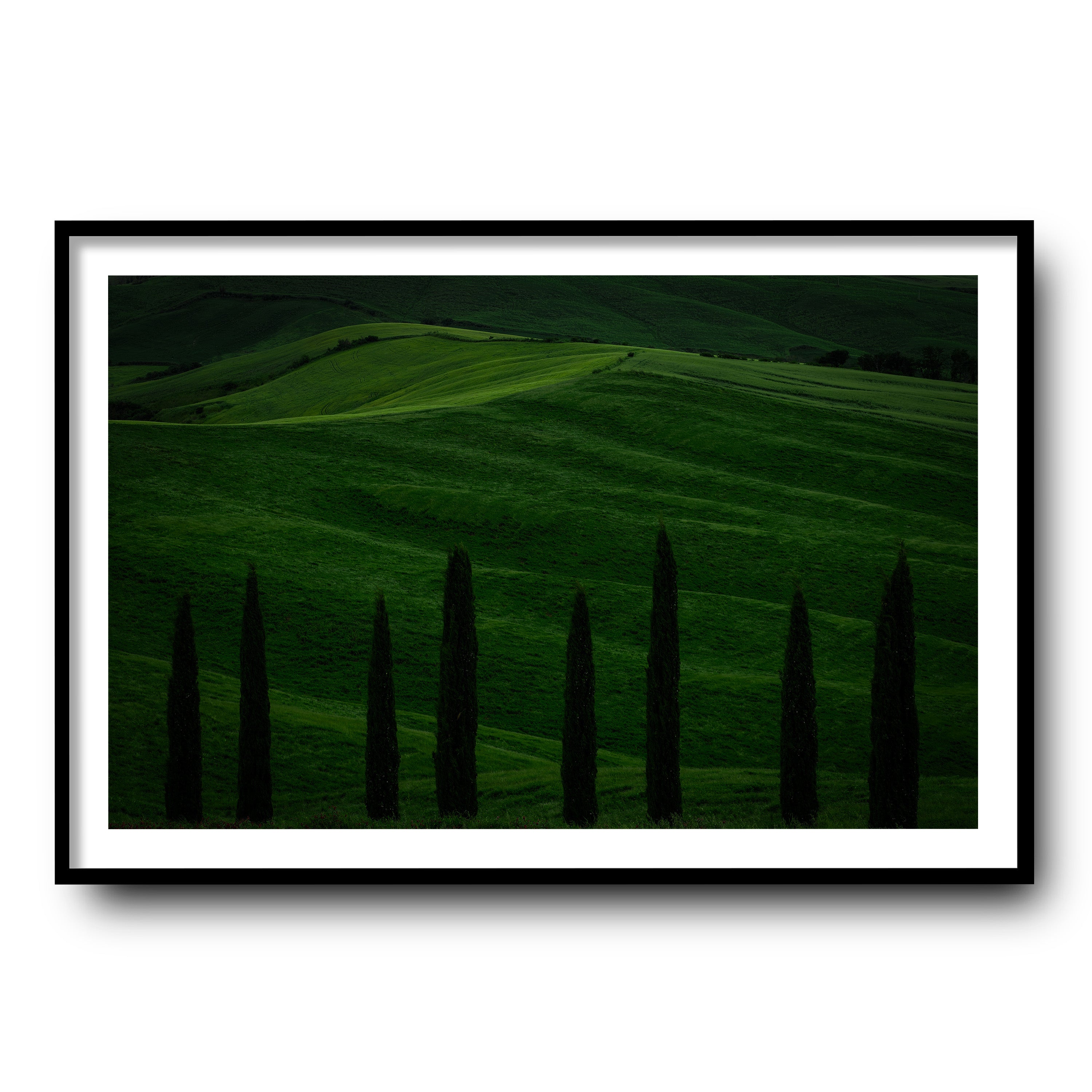 Green Fields, Tuscany